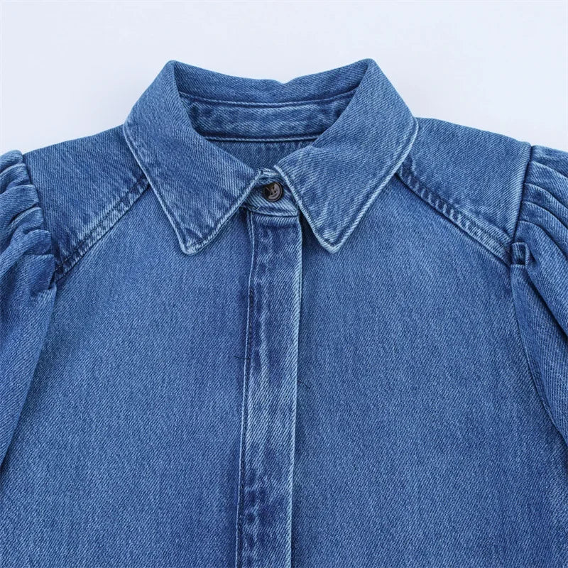 Fashion Casual Denim Shirt High Waist Wide Leg Pants Women's Independent Station Wind Clothing Satin Polyester Fiber AE Stock